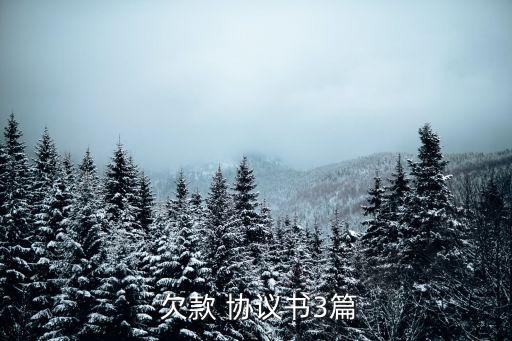  欠款 協(xié)議書3篇