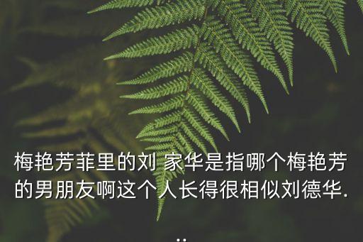 梅艷芳菲里的劉 家華是指哪個(gè)梅艷芳的男朋友啊這個(gè)人長(zhǎng)得很相似劉德華...