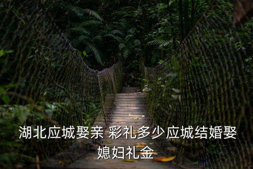  湖北應(yīng)城娶親 彩禮多少應(yīng)城結(jié)婚娶媳婦禮金