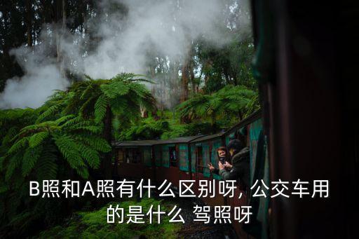 B照和A照有什么區(qū)別呀, 公交車用的是什么 駕照呀