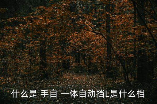 手自一體是什么,10檔手自一體是什么