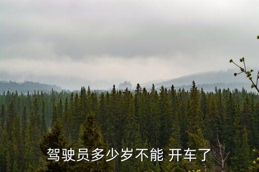 多大年齡不能開車,c1駕照年齡限制多少歲不能開車