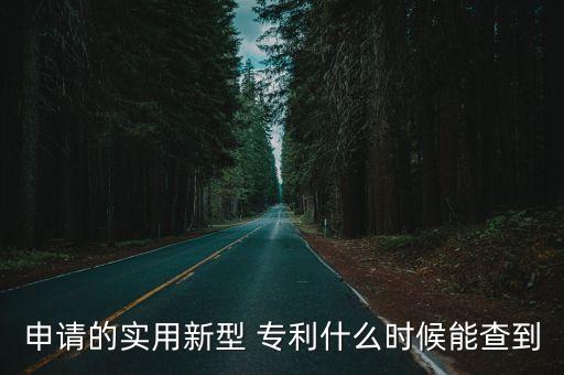 專利進(jìn)度查詢,國家知識(shí)產(chǎn)權(quán)局專利進(jìn)度查詢