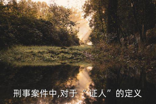 刑事案件中,對(duì)于“ 證人”的定義