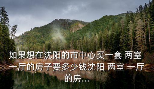 如果想在沈陽的市中心買一套 兩室 一廳的房子要多少錢沈陽 兩室 一廳的房...