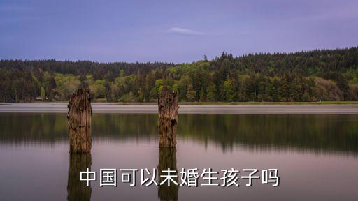 中國可以未婚生孩子嗎