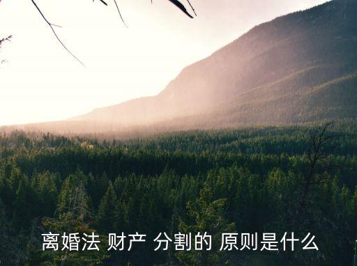  離婚法 財產(chǎn) 分割的 原則是什么