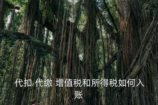  代扣 代繳 增值稅和所得稅如何入賬