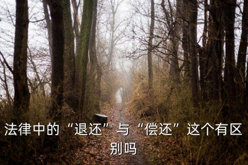 法律中的“退還”與“償還”這個(gè)有區(qū)別嗎