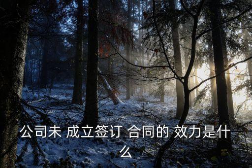 不成立的合同就無法律效力