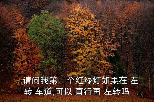 ...請問我第一個紅綠燈如果在 左轉(zhuǎn) 車道,可以 直行再 左轉(zhuǎn)嗎