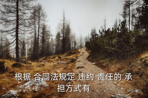 根據(jù) 合同法規(guī)定 違約 責任的 承擔方式有
