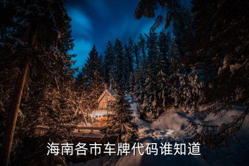三亞車牌號(hào)是什么字母,海口和三亞哪個(gè)好