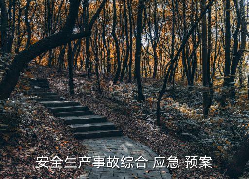 安全生產(chǎn)應(yīng)急預(yù)案范本
