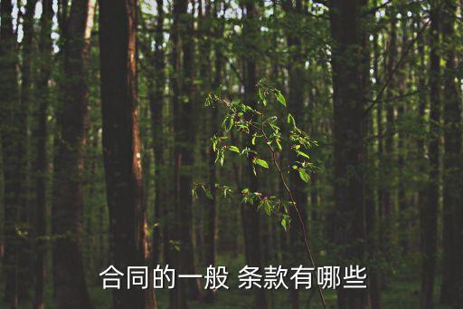 合同的一般 條款有哪些