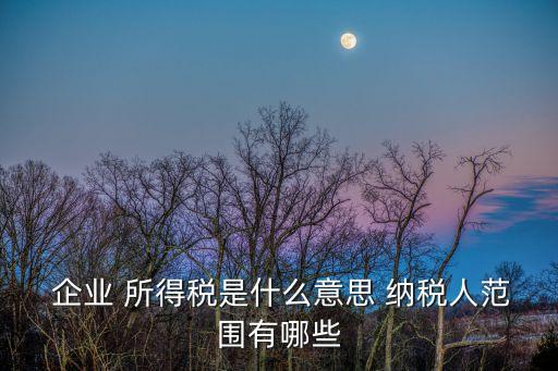  企業(yè) 所得稅是什么意思 納稅人范圍有哪些