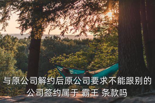 合同法霸王條款問(wèn)題,對(duì)于霸王條款合同法怎么規(guī)定的