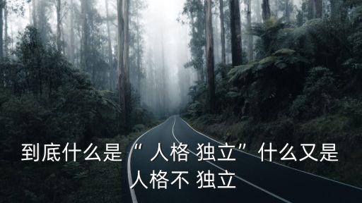 到底什么是“ 人格 獨(dú)立”什么又是 人格不 獨(dú)立