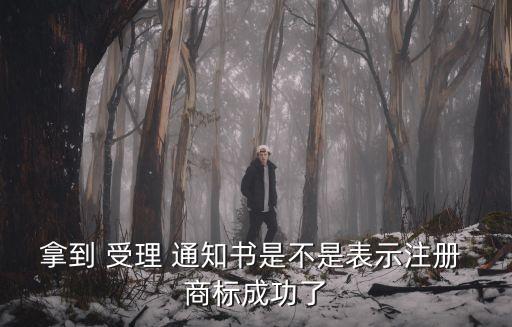 拿到 受理 通知書是不是表示注冊 商標(biāo)成功了