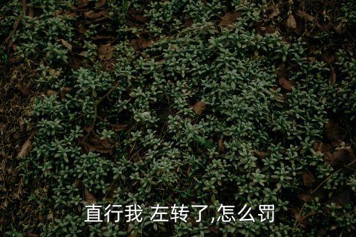 今天不小心從左轉(zhuǎn)車(chē)道直行了