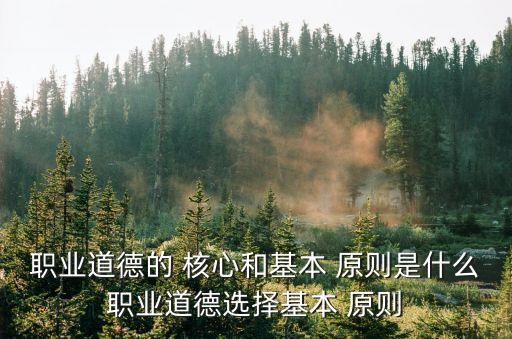 職業(yè)道德的 核心和基本 原則是什么職業(yè)道德選擇基本 原則