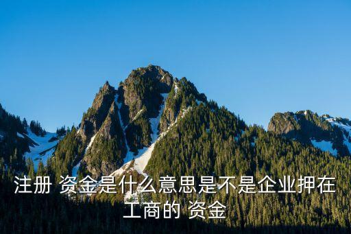注冊(cè) 資金是什么意思是不是企業(yè)押在工商的 資金