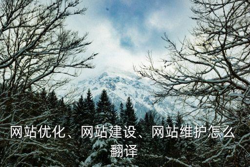 網(wǎng)站優(yōu)化、網(wǎng)站建設(shè)、網(wǎng)站維護(hù)怎么 翻譯