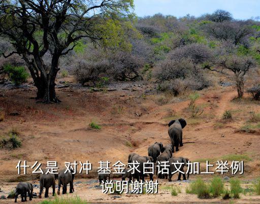 什么是 對(duì)沖 基金求白話文加上舉例說明謝謝
