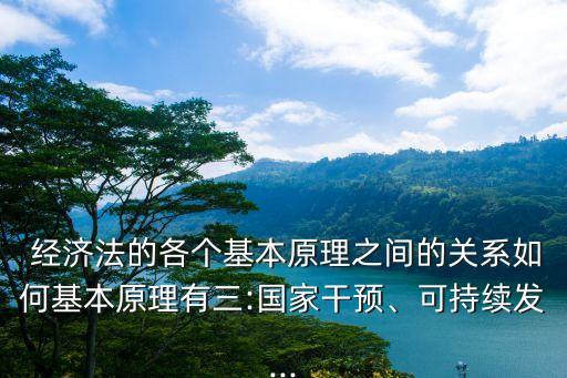  經(jīng)濟(jì)法的各個(gè)基本原理之間的關(guān)系如何基本原理有三:國(guó)家干預(yù)、可持續(xù)發(fā)...