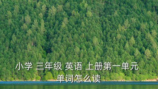 小學(xué) 三年級 英語 上冊第一單元 單詞怎么讀