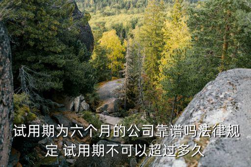 試用期6個(gè)月