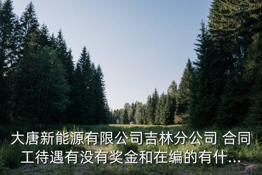 大唐新能源有限公司吉林分公司 合同工待遇有沒(méi)有獎(jiǎng)金和在編的有什...