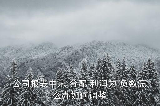 公司報(bào)表中未 分配 利潤(rùn)為 負(fù)數(shù)怎么辦如何調(diào)整
