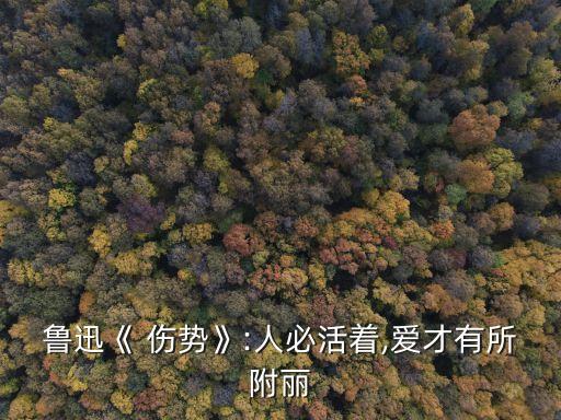魯迅《 傷勢》:人必活著,愛才有所附麗