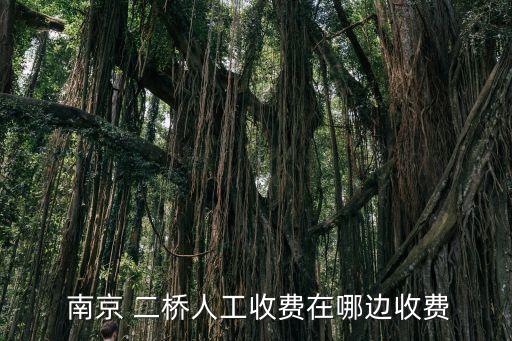  南京 二橋人工收費(fèi)在哪邊收費(fèi)
