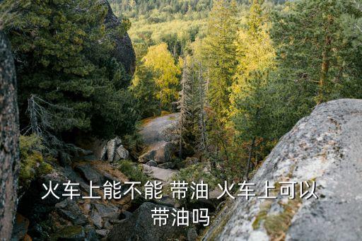 火車可以帶油嗎,20斤菜籽油能帶上高鐵嗎