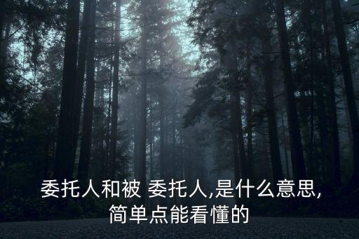 委托人與被委托人的法律關(guān)系,居間人與委托人的法律關(guān)系