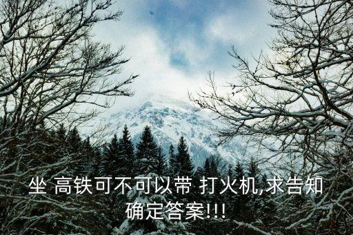 坐 高鐵可不可以帶 打火機(jī),求告知確定答案!!!