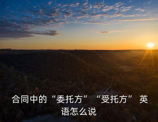  合同中的“委托方”“受托方” 英語怎么說