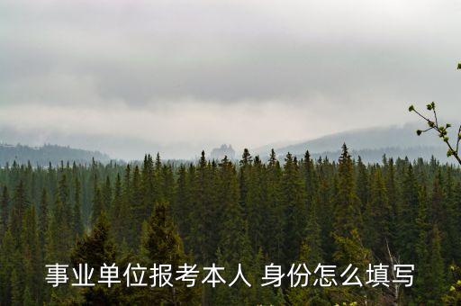 事業(yè)單位報(bào)考本人 身份怎么填寫
