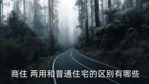 上海商住兩用房