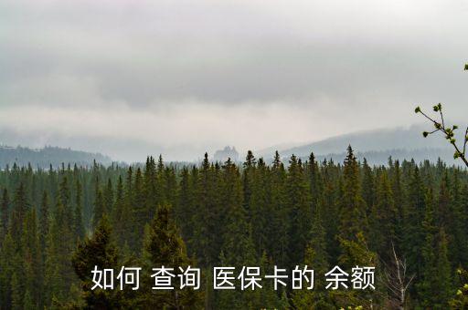 怎么查詢醫(yī)保余額,智慧人社怎么查詢醫(yī)保余額