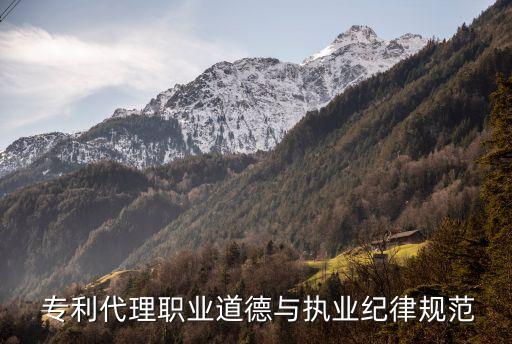 專利代理人協(xié)會,中華全國專利代理人協(xié)會
