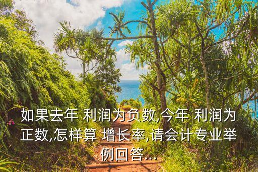 如果去年 利潤為負(fù)數(shù),今年 利潤為正數(shù),怎樣算 增長率,請會(huì)計(jì)專業(yè)舉例回答...