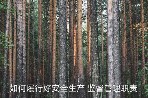 如何履行好安全生產(chǎn) 監(jiān)督管理職責(zé)