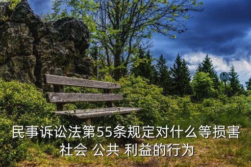 民事訴訟法第55條規(guī)定對什么等損害 社會 公共 利益的行為
