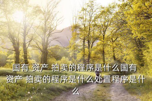 國有 資產(chǎn) 拍賣的程序是什么國有 資產(chǎn) 拍賣的程序是什么處置程序是什么