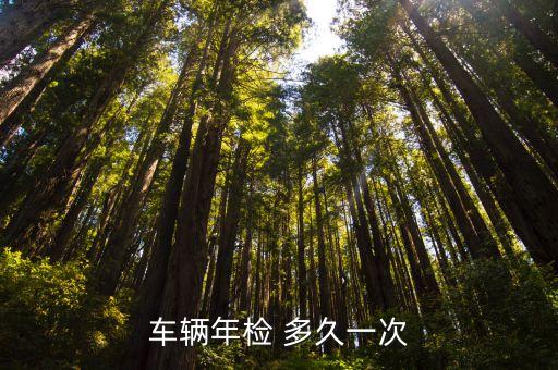 汽車年審多久一次,營運(yùn)新能源汽車年審多久一次