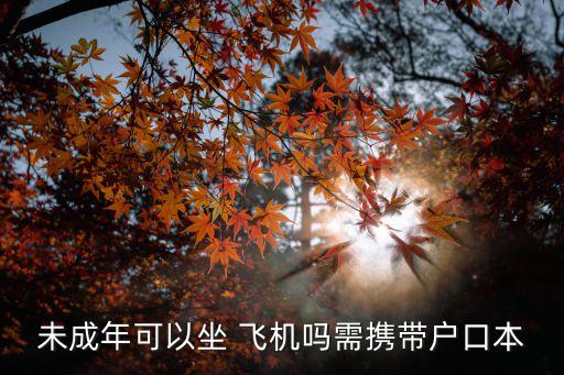 未成年人坐飛機