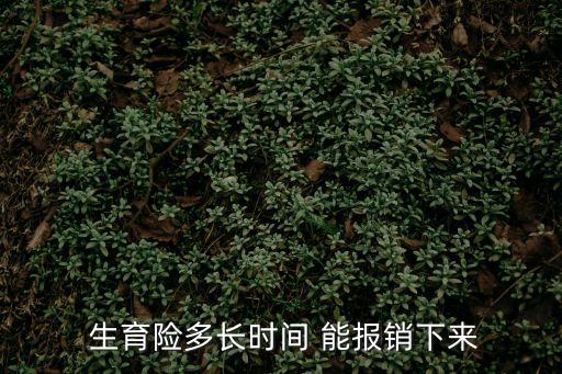  生育險多長時間 能報銷下來